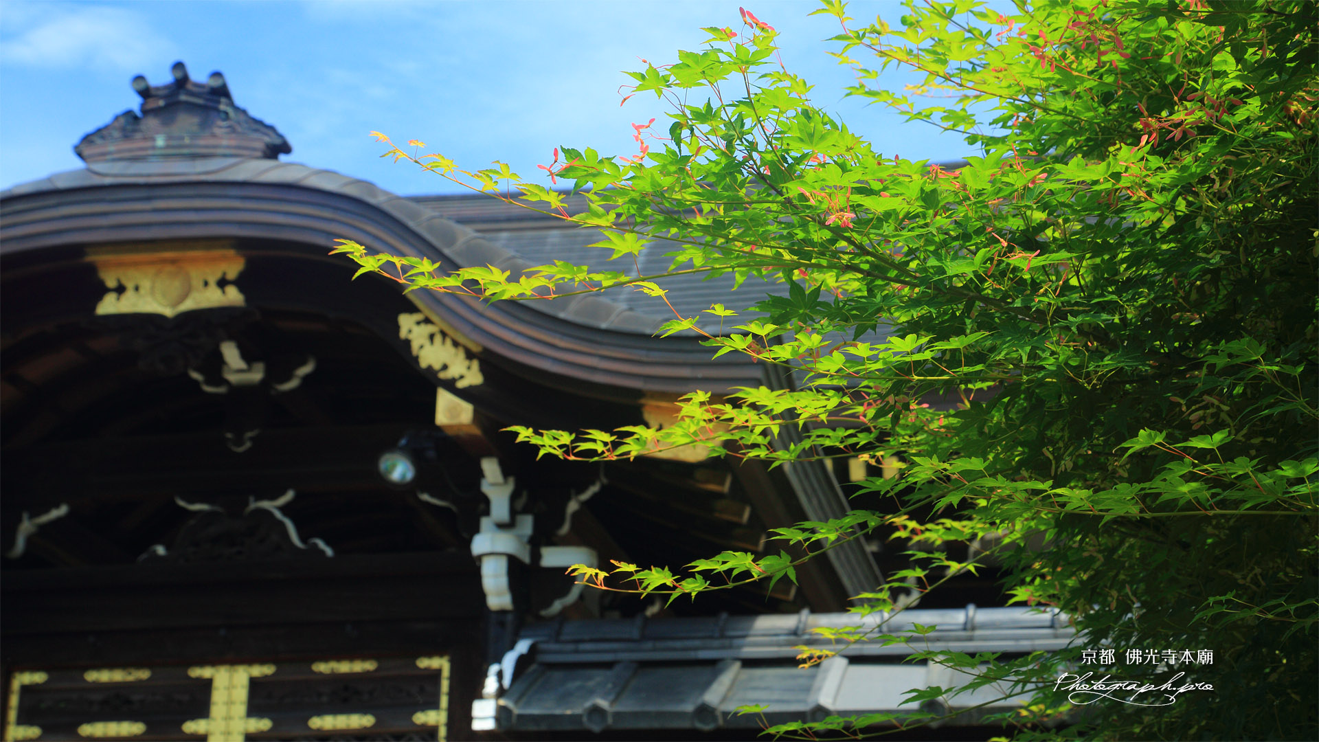 佛光寺本廟 椛花と御廟