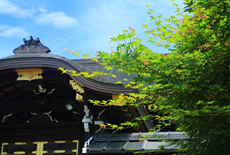 佛光寺本廟