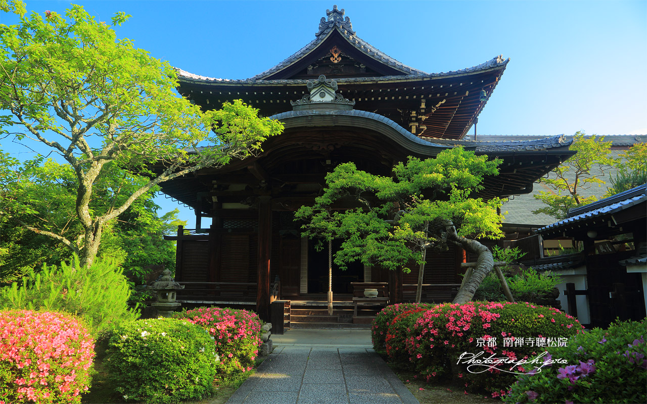 聴松院 サツキと本堂 壁紙