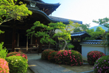 聴松院 皐月と摩利支天堂