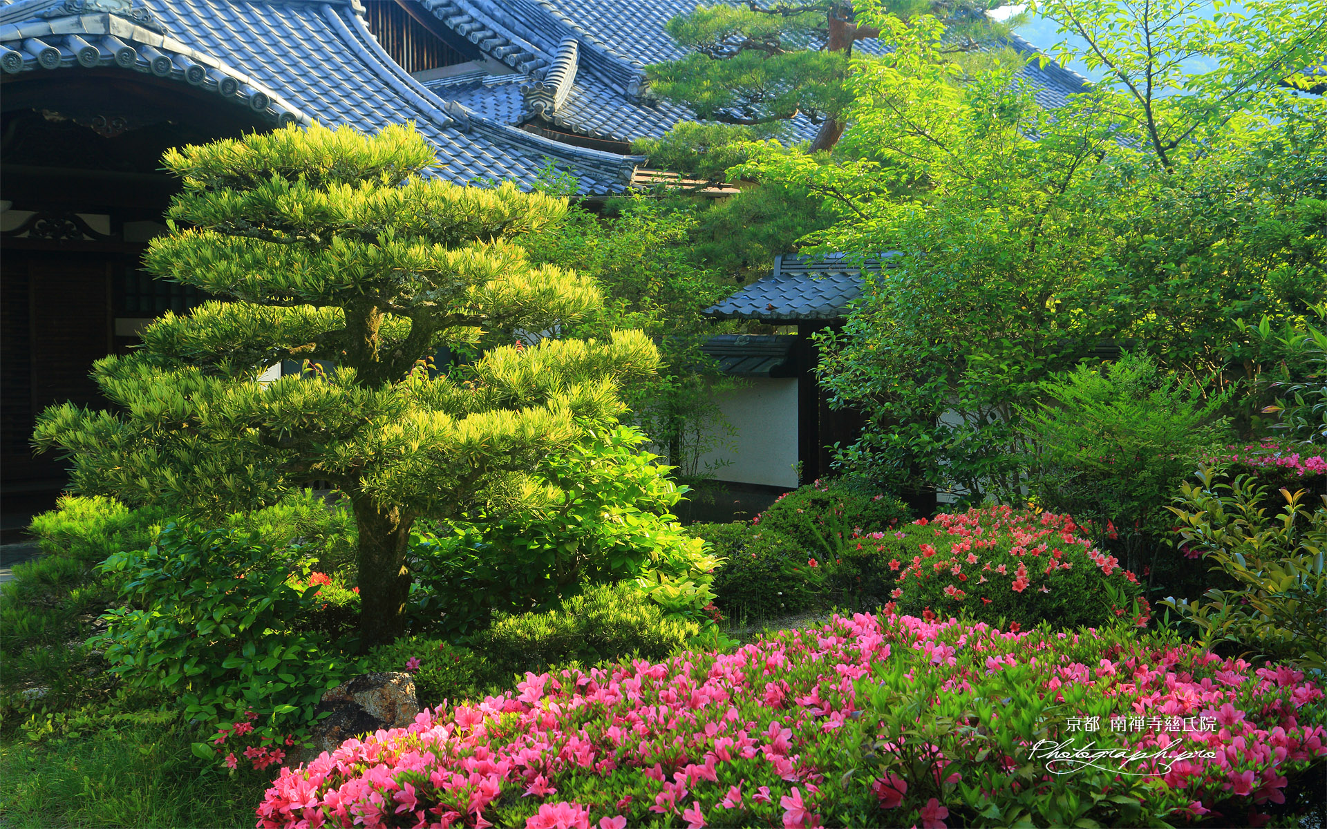 慈氏院 サツキと玄関