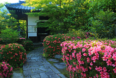 慈氏院