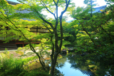 慈氏院 新緑と聴松院本堂