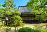 慈氏院 新緑と本堂