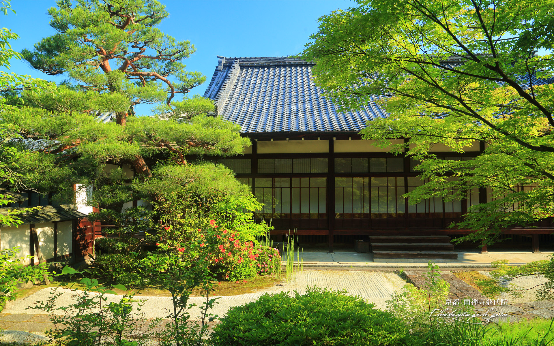 慈氏院 新緑と本堂
