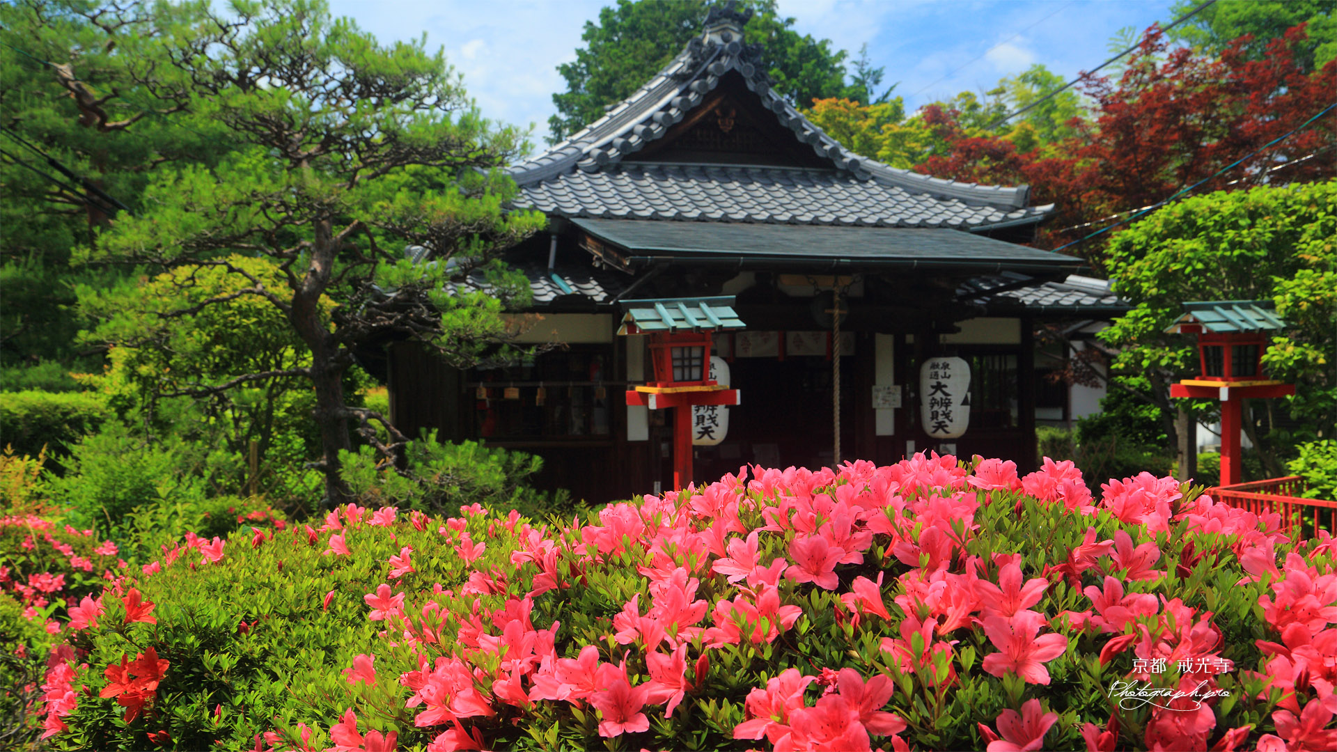 戒光寺 サツキと泉山融通弁財天