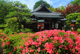 戒光寺 サツキと泉山融通弁財天