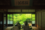 勝林寺 写経道場越しの新緑