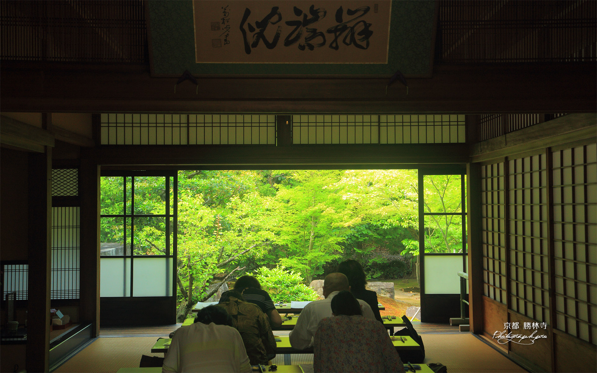 勝林寺 写経道場越しの新緑