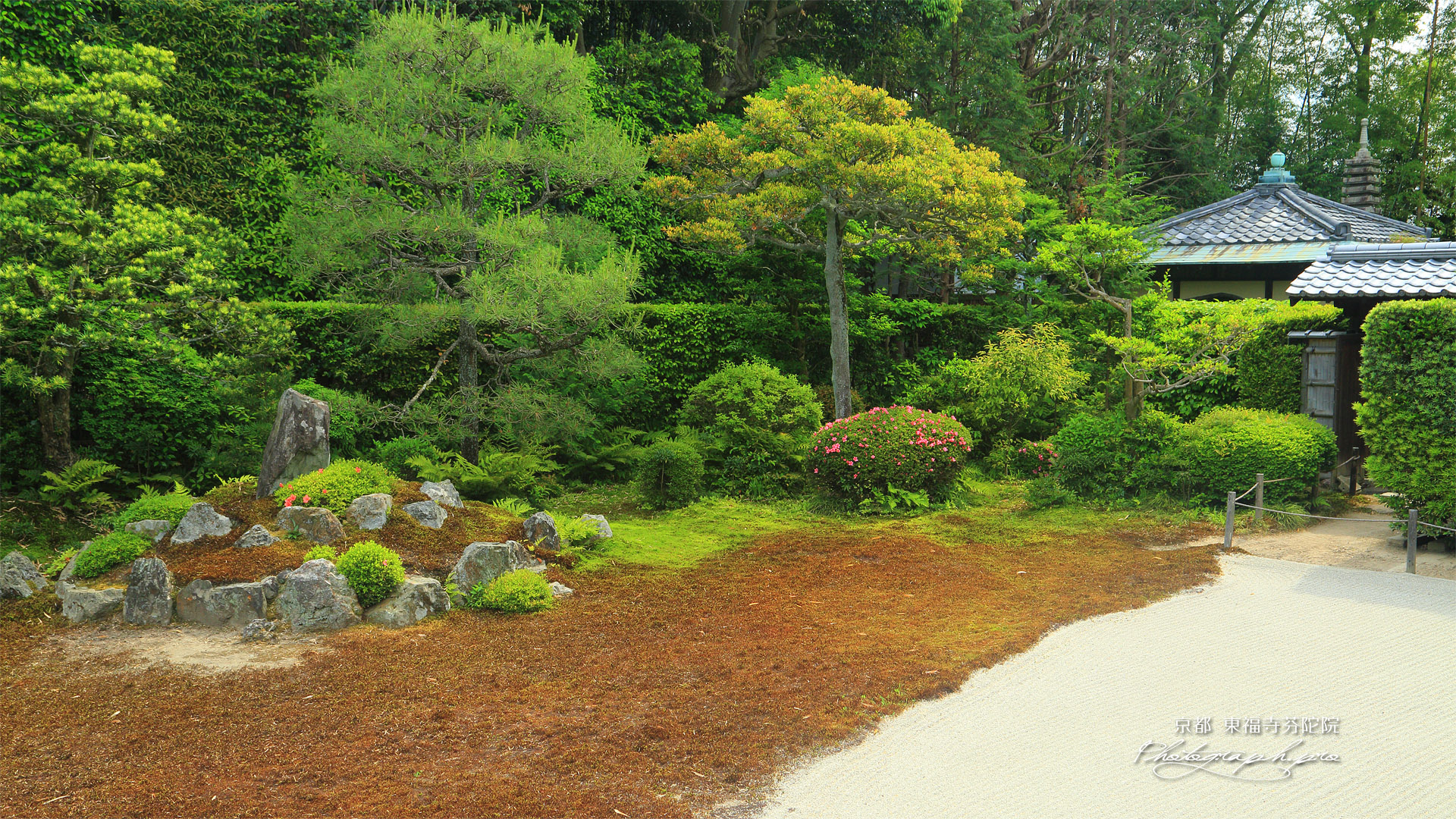 芬陀院 サツキ咲く鶴亀庭と開山堂
