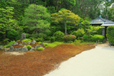 芬陀院 サツキ咲く鶴亀庭と開山堂