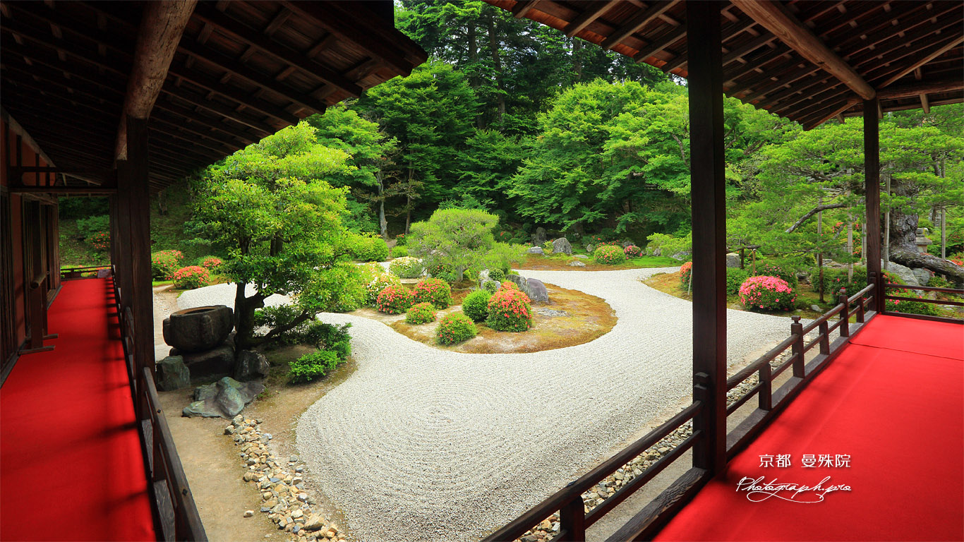 曼殊院 御座舟と蓬莱式庭園 壁紙