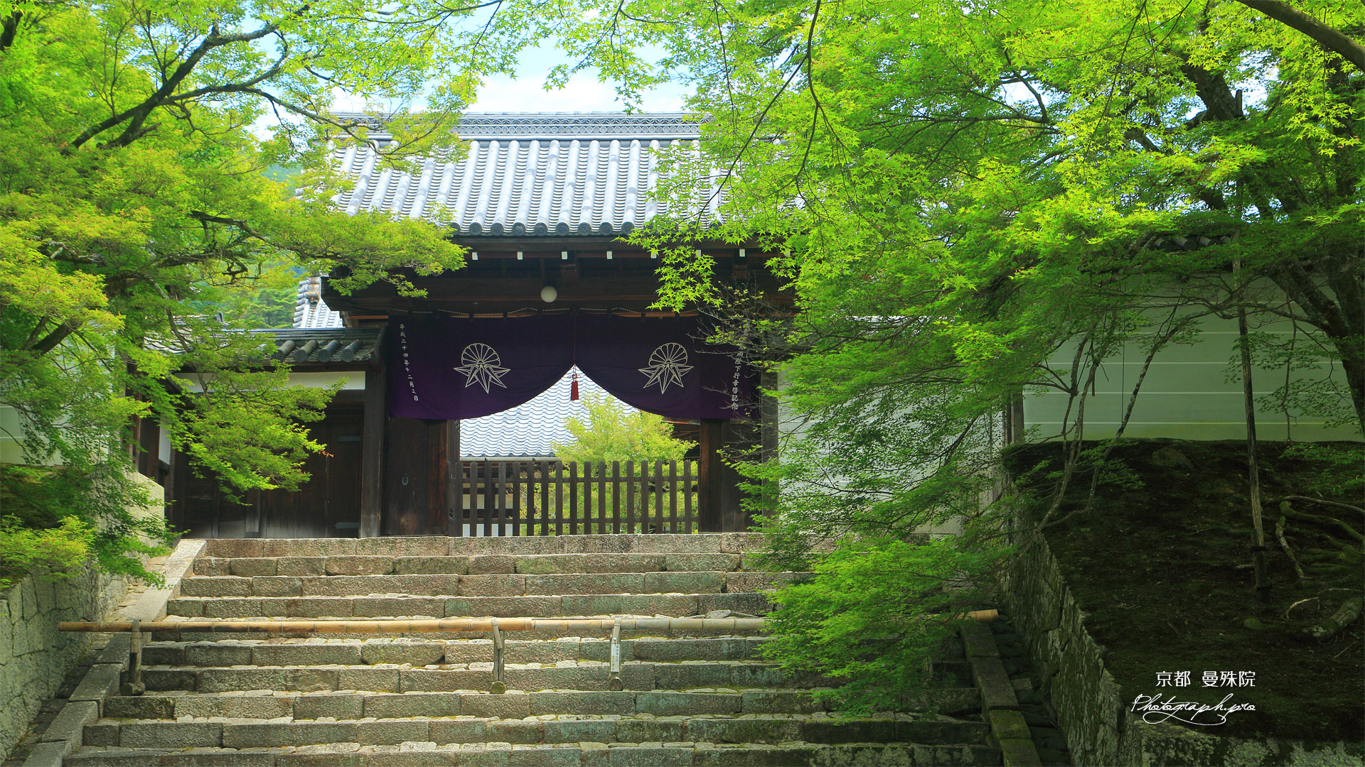 曼殊院 新緑の勅使門