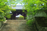 曼殊院 新緑の勅使門