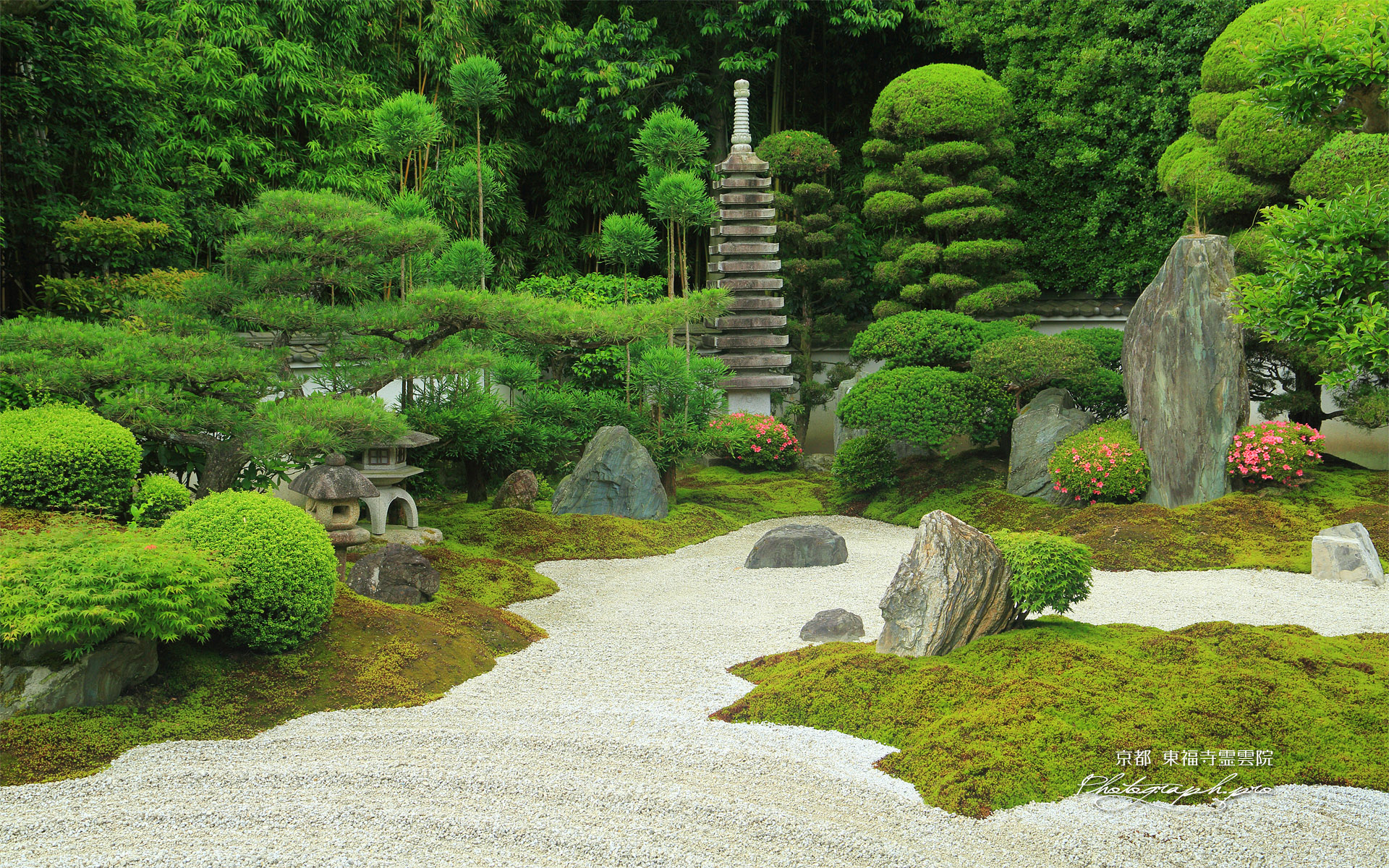 東福寺霊雲院 サツキ咲く九山八海庭