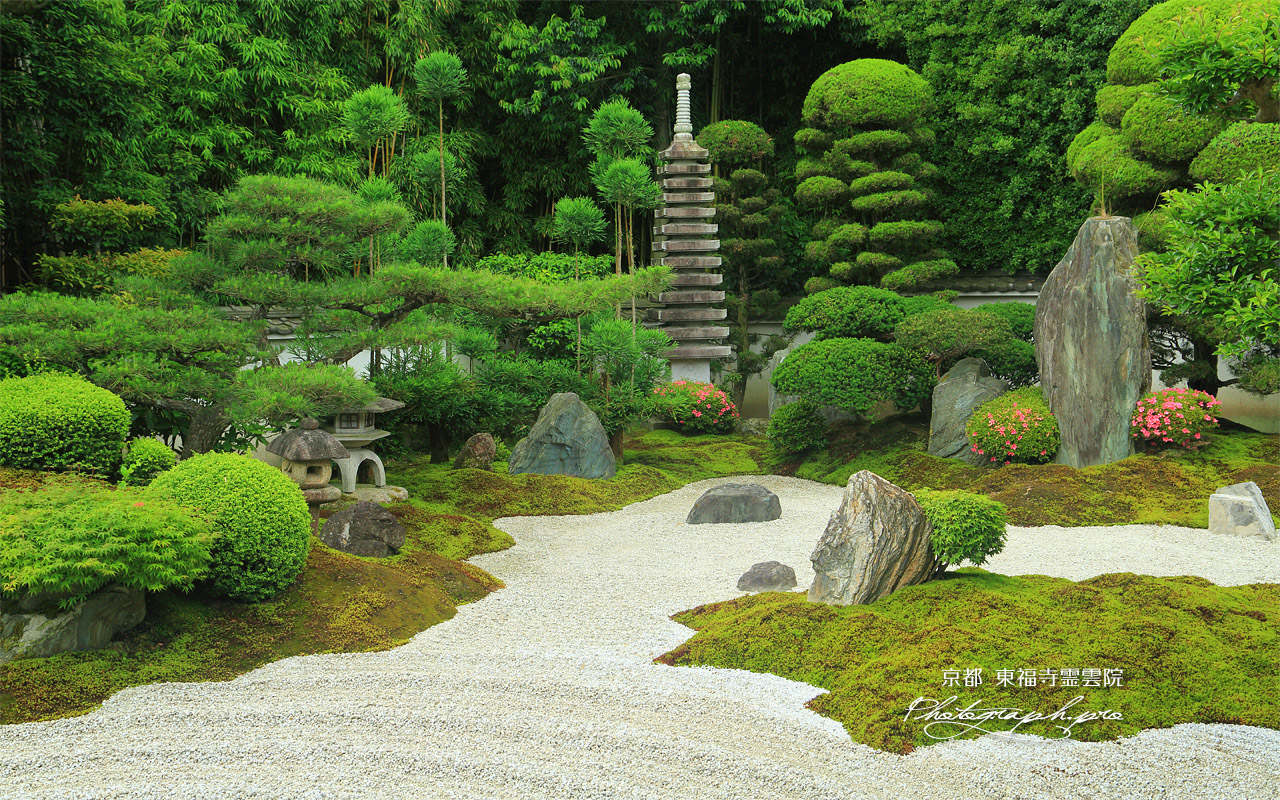 東福寺霊雲院 サツキ咲く九山八海庭 壁紙