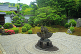 東福寺霊雲院 九山八海庭と新緑