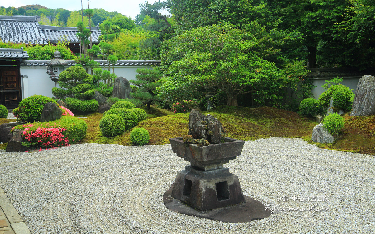東福寺霊雲院 九山八海庭と新緑 壁紙