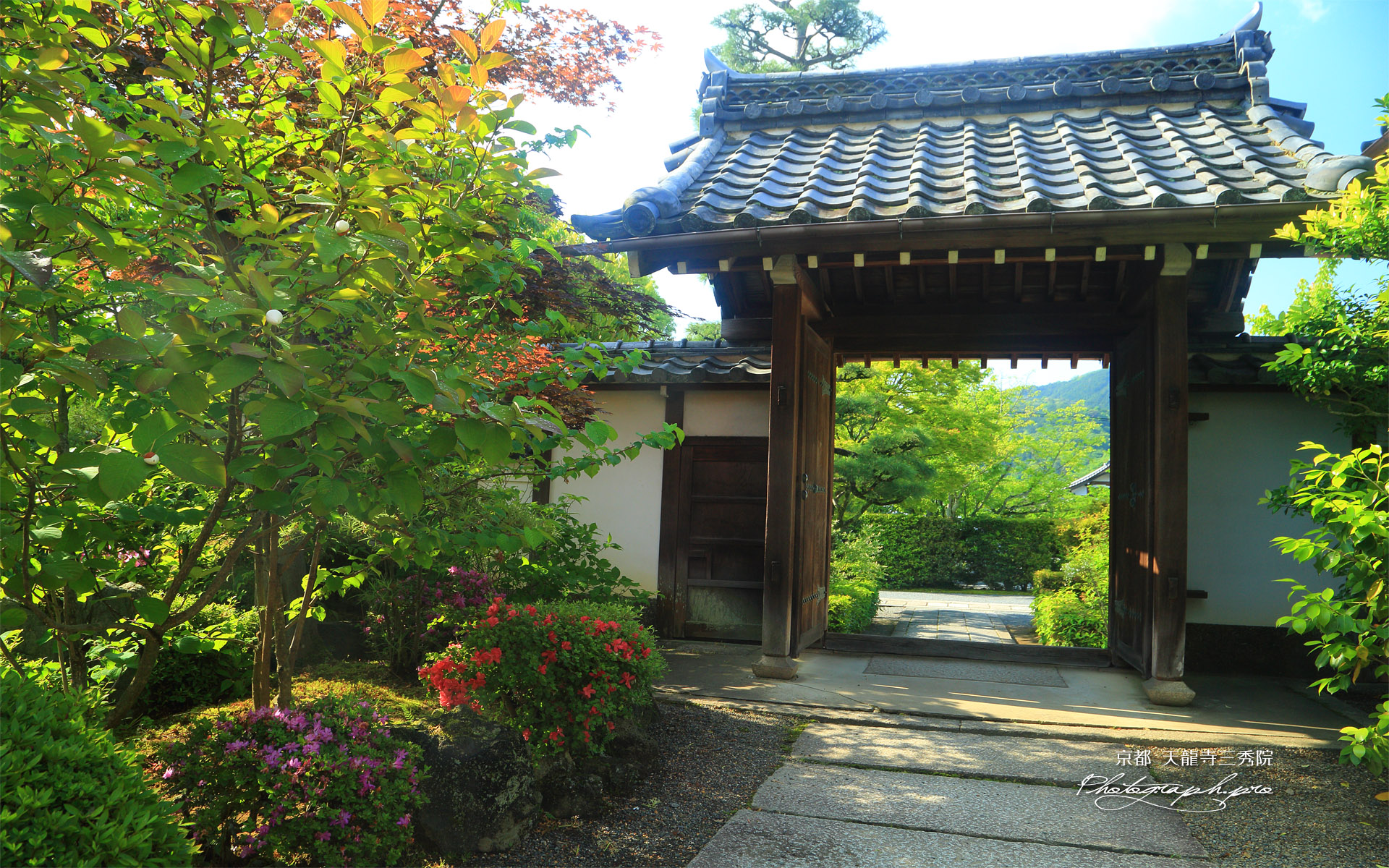 三秀院 ツツジと表門
