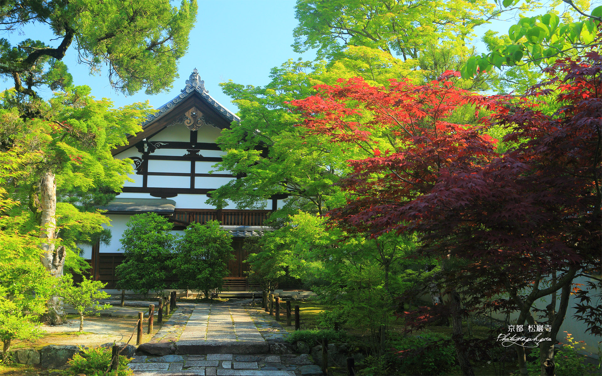 松巖寺 春紅葉と新緑の庫裡