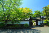寿寧院
