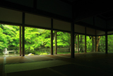 蓮華寺 書院から新緑の庭園と本堂