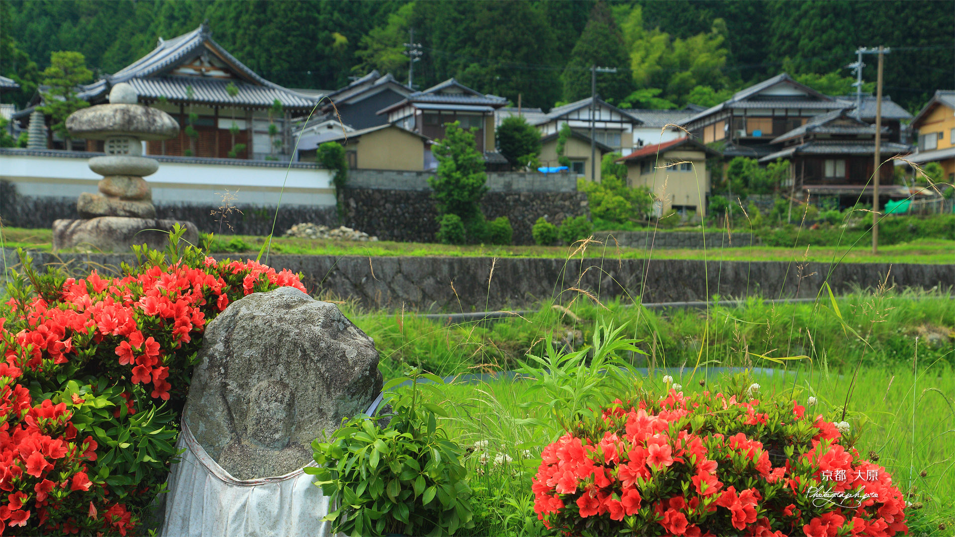 大原 石仏とサツキ