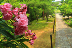 大雄院