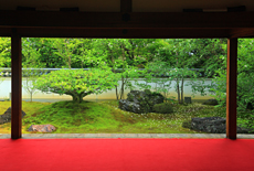 東林院