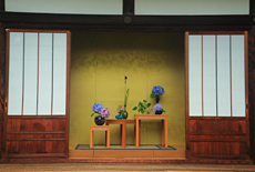 戒光寺