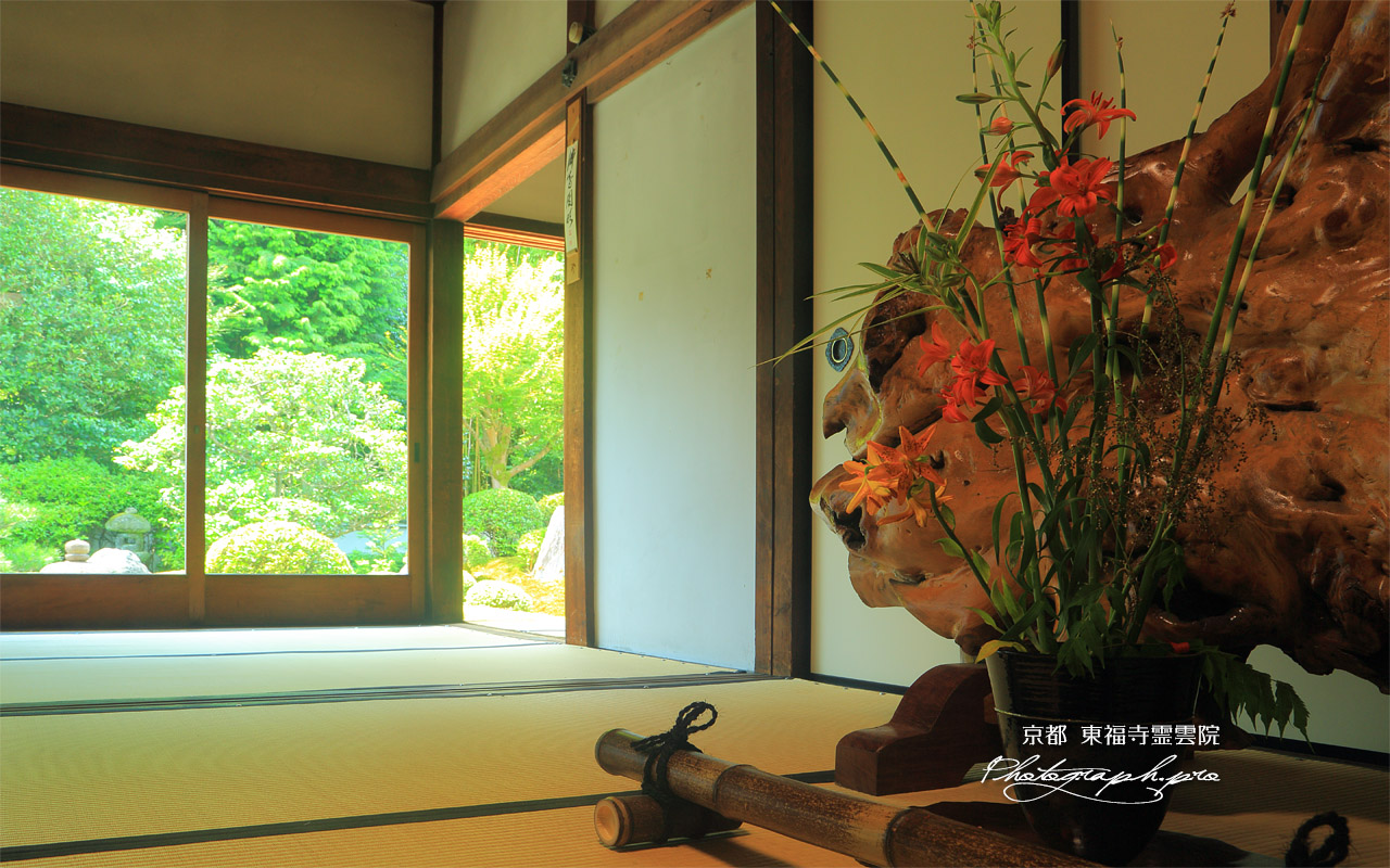 東福寺霊雲院 ユリの生け花 壁紙