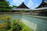 万寿寺 梔子と築地塀