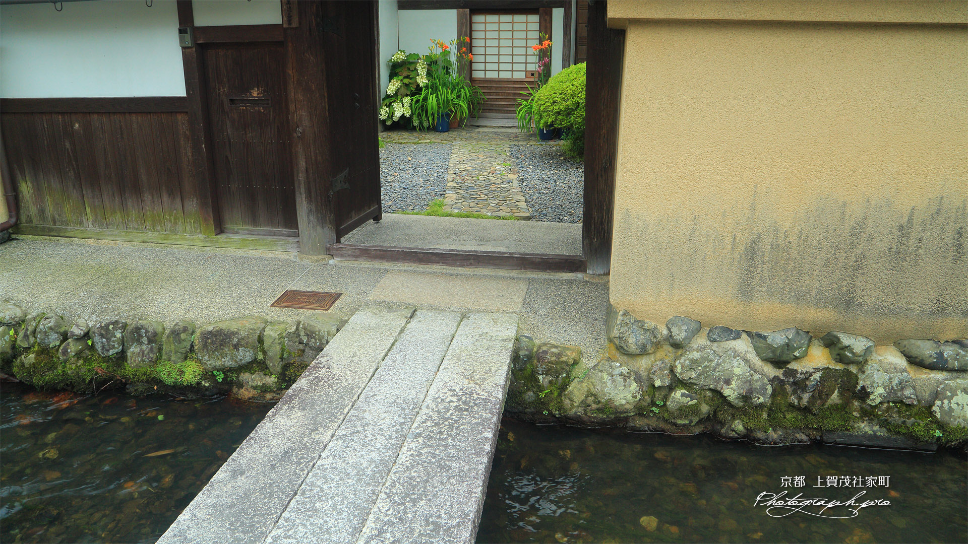 上賀茂社家町 門越しの萱草と柏葉紫陽花
