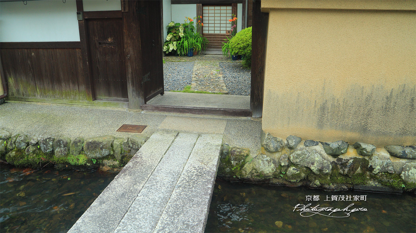 上賀茂社家町 門越しの萱草と柏葉紫陽花 壁紙