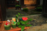 上賀茂 井關家の侘助椿