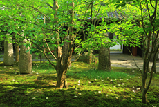 上賀茂