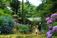 天王山