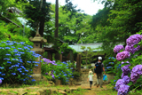 天王山