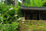 酒解神社 オカトラノオと三社宮