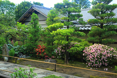 妙智院