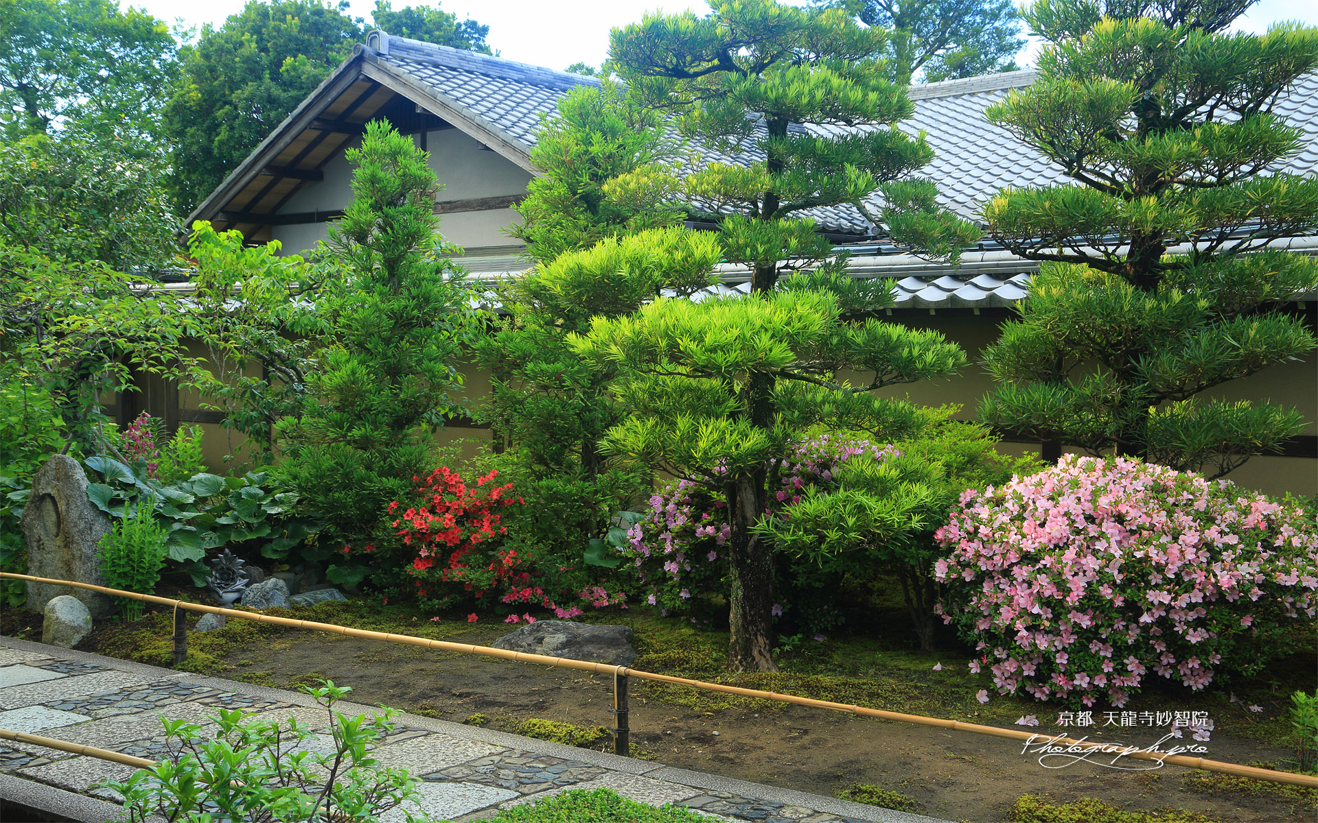 妙智院 サツキと西山艸堂
