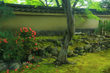 寿寧院 皐月