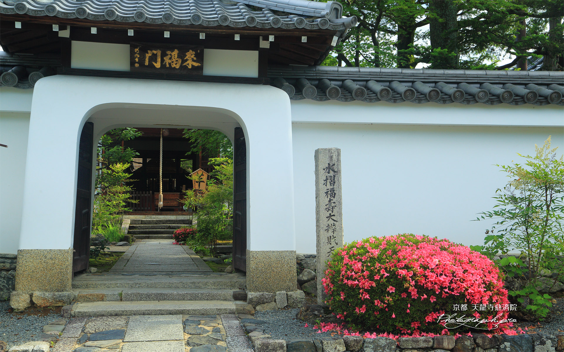 慈済院 サツキと来福門