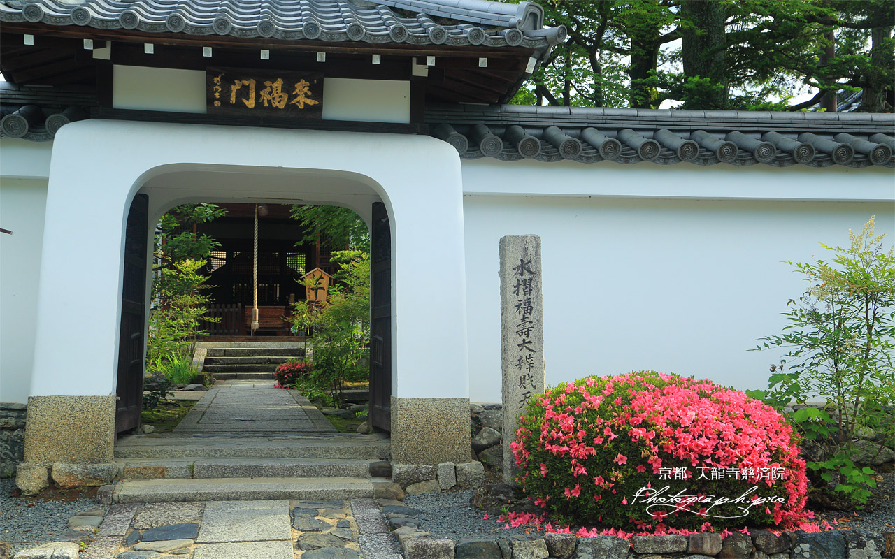 慈済院 サツキと来福門 壁紙