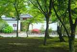 天龍寺 前庭の新緑と来福門