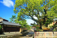 上賀茂社家町