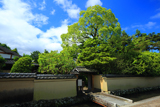 上賀茂社家町 新緑の西村家