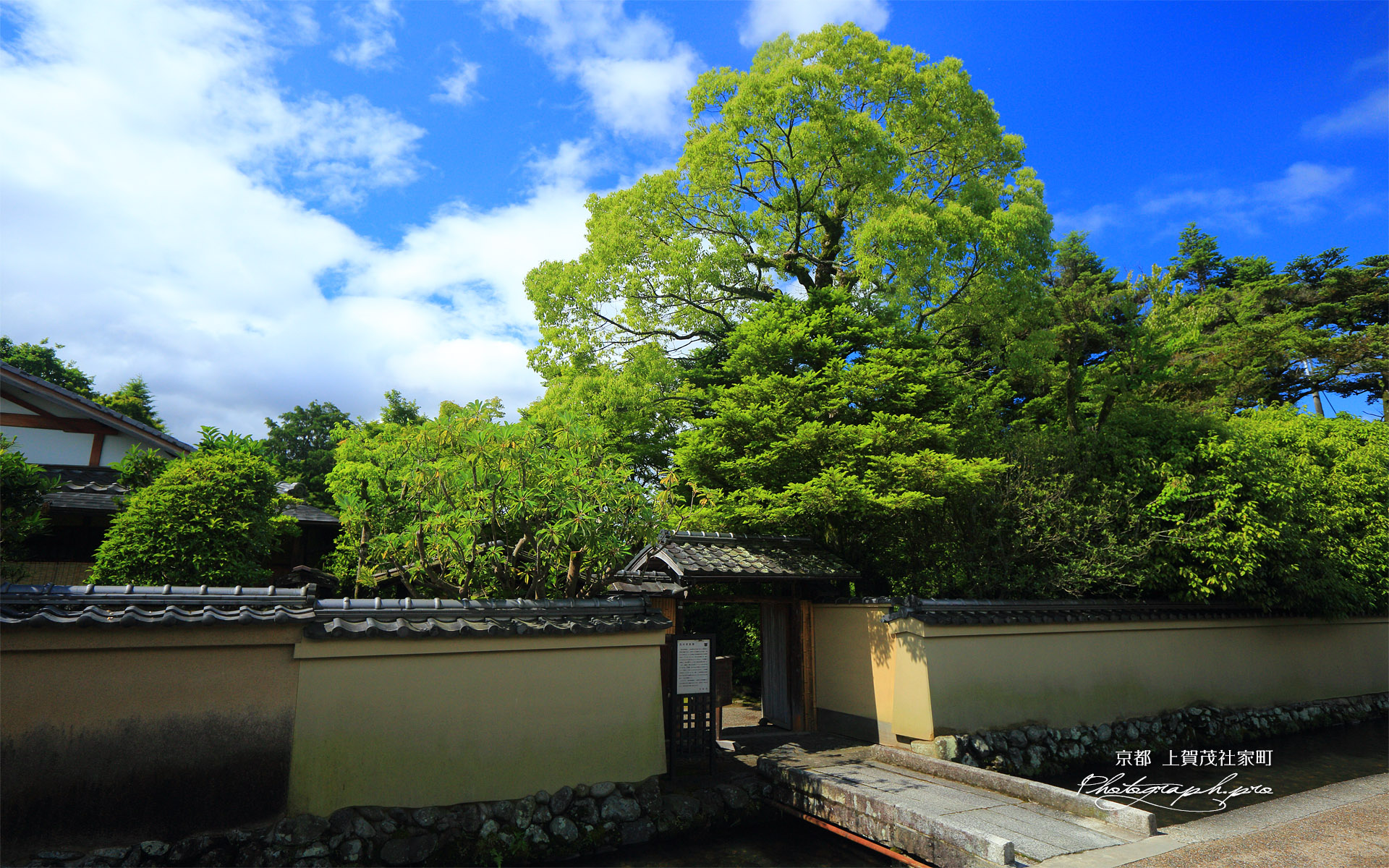 上賀茂社家町 新緑の西村家
