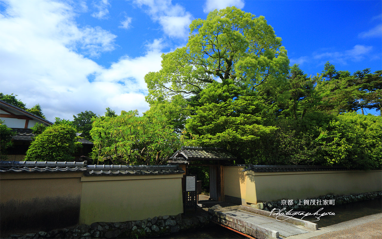 上賀茂社家町 新緑の西村家 壁紙