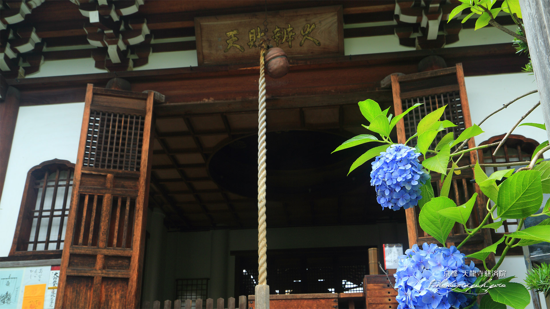 慈済院 アジサイと弁天堂